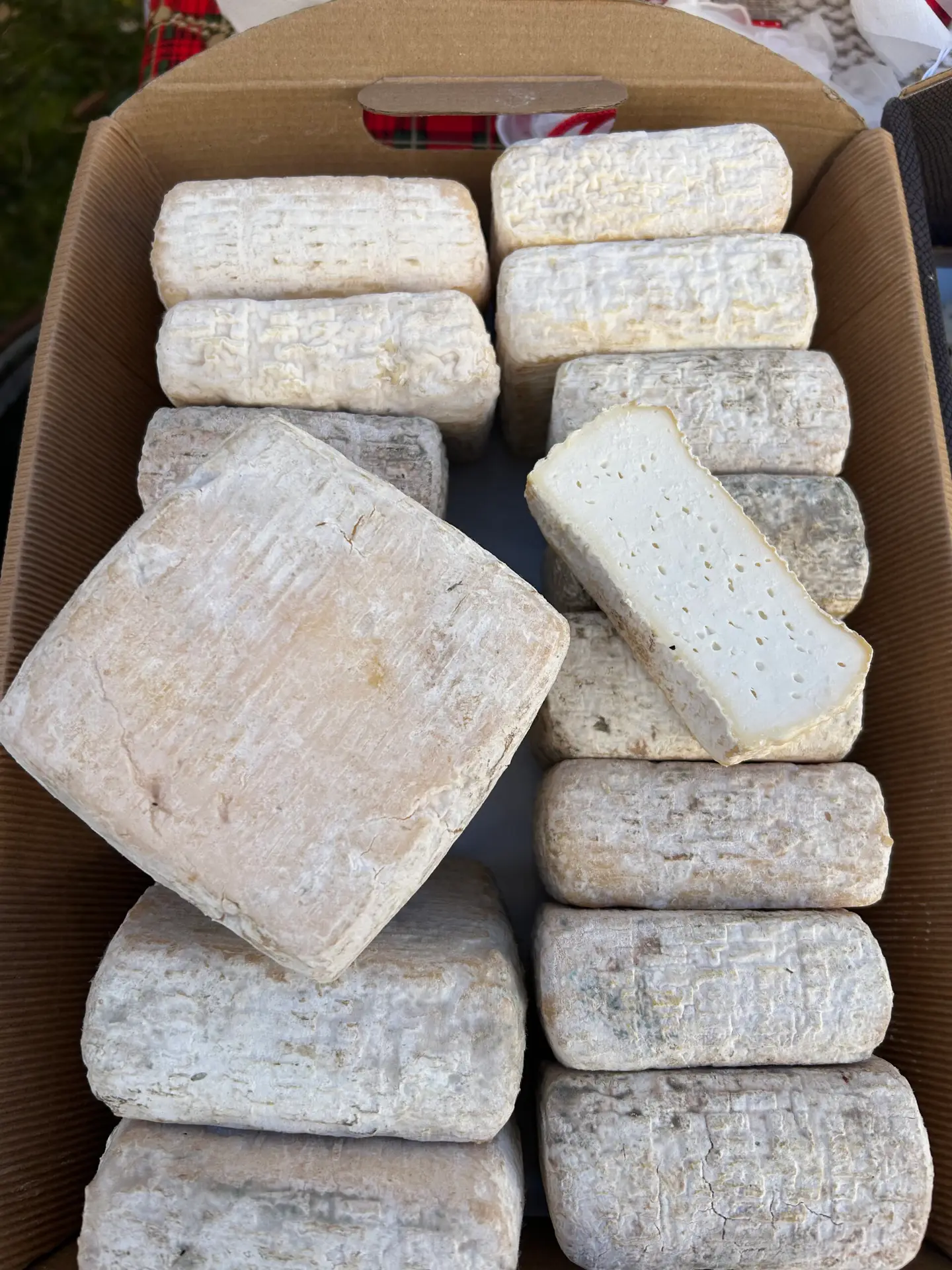 formagella classica