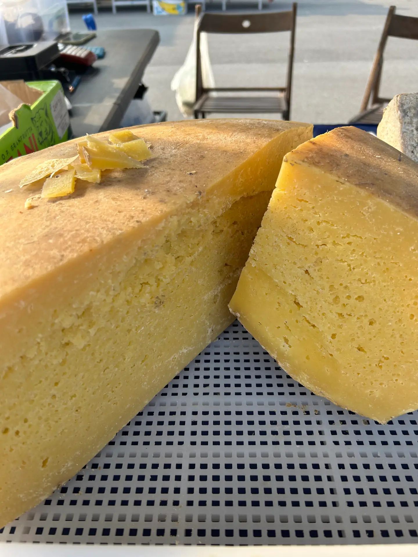 Formaggio nostrano estivo di malga