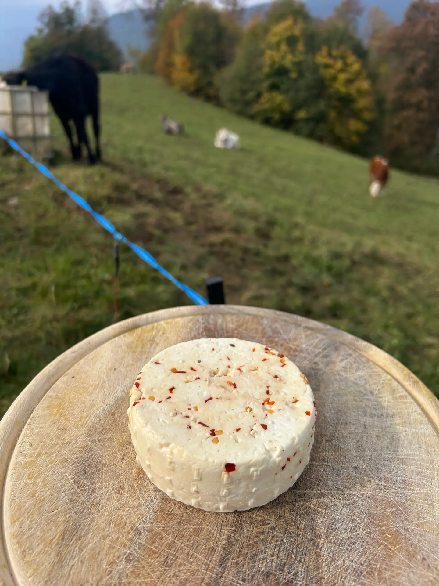 formagella classica con peperoncino