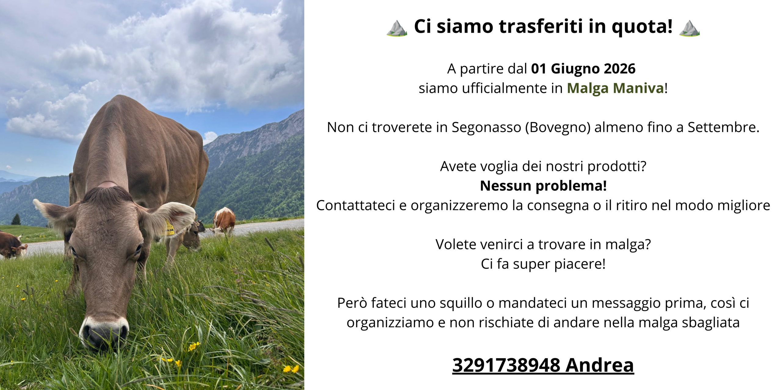 Banner Pop up per trasferimento in malga estate 2026